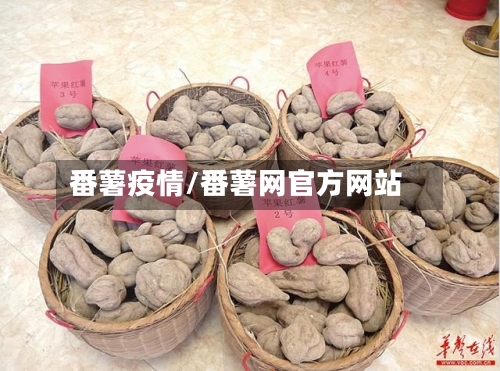 番薯疫情/番薯网官方网站-第2张图片