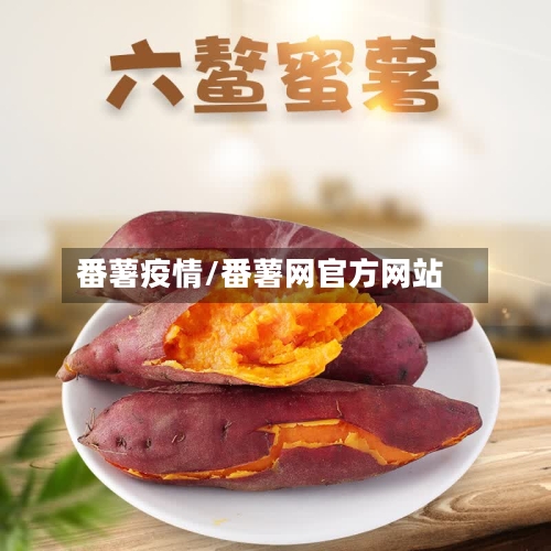 番薯疫情/番薯网官方网站