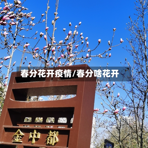 春分花开疫情/春分啥花开