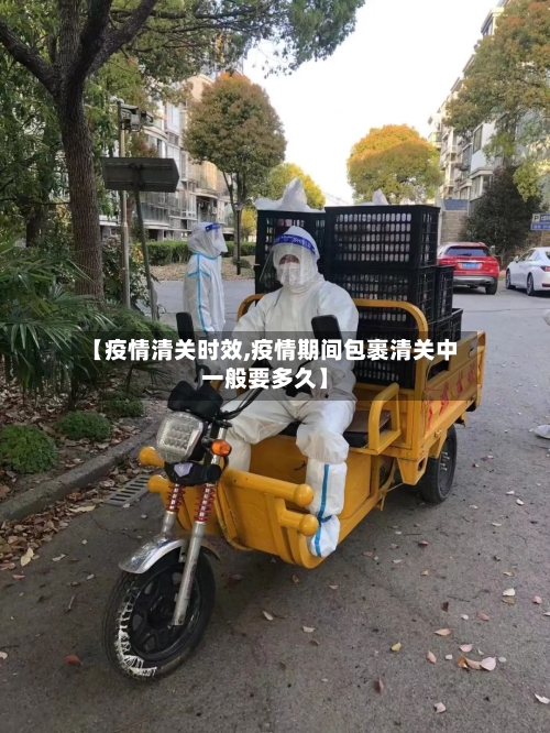 【疫情清关时效,疫情期间包裹清关中一般要多久】-第2张图片
