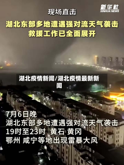 湖北疫情新闻/湖北疫情最新新闻-第2张图片
