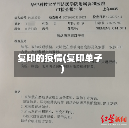 复印的疫情(复印单子)-第3张图片